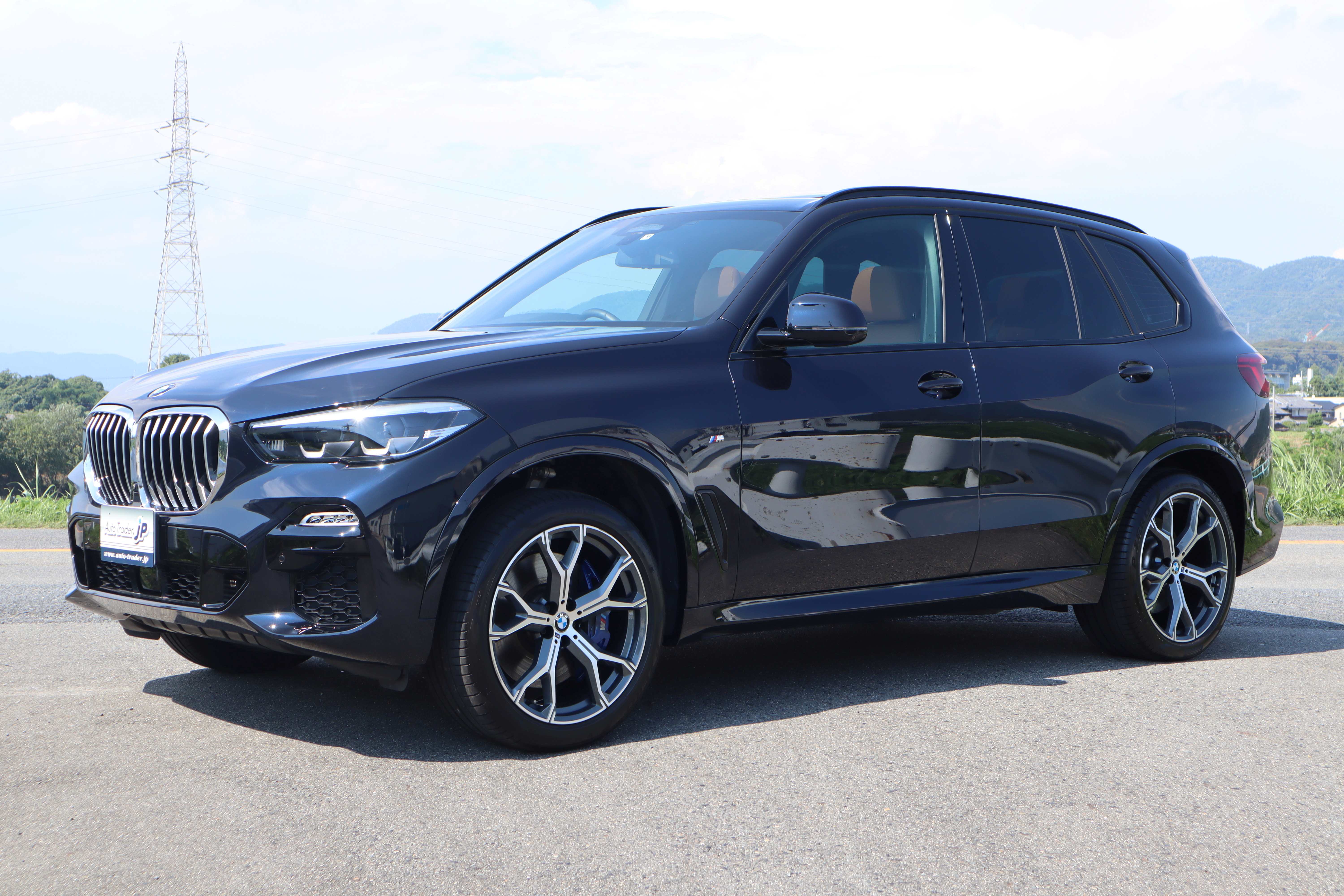 BMW X5 ｘDrive  35d　Ｍスポーツ(写真)