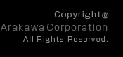 Copyright(C) Arakawa Corporation All Rights Reserved.